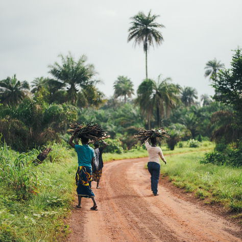 FarmWorks Secures $4.1 Million Investment to Revolutionize Kenyan Agriculture