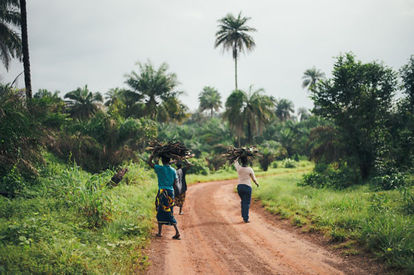 African women carrying firewood