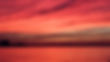 Image by Sérgio Rola
