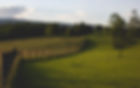 Image by Collin