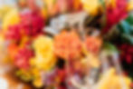 verzameling gekleurde bloemen en planten