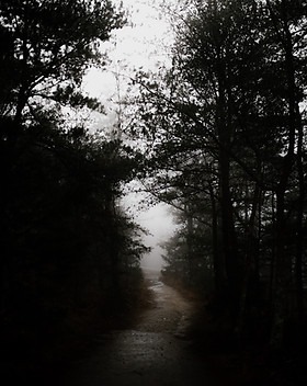 Image by Andrew Neel
