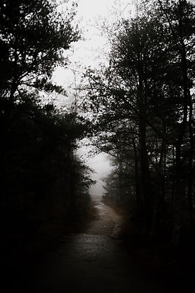 Image by Andrew Neel