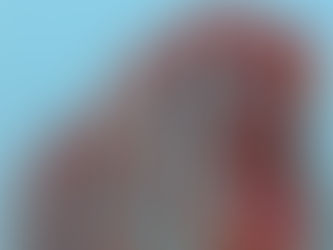 6 Tips To Stage Your Vacation Rental For Success