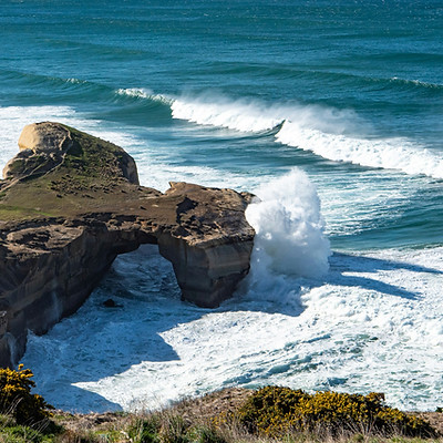 Image by Tonia Kraakman