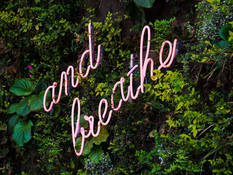 The Transformative Power of Breathwork: Simple, Powerful, Essential