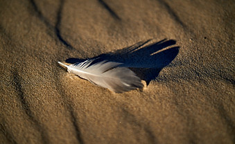 Image by Raimond Klavins