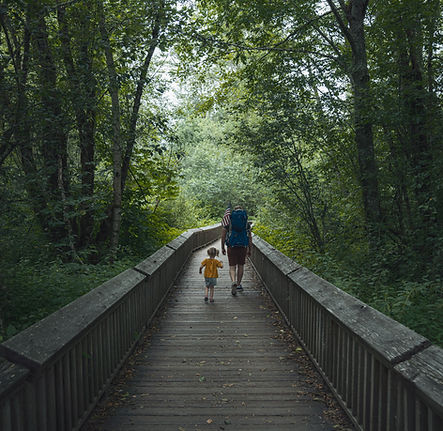 Image by Laura Nyhuis