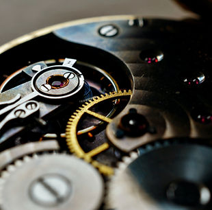 Image by Lukas Tennie