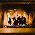 Image by Hayden Scott