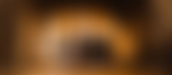 Top 10 Benefits of Wood Burning Stoves and Fireplaces for Your Home