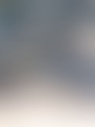 Remarkable resilience of human brain. Road runner Chasers and Watchers.