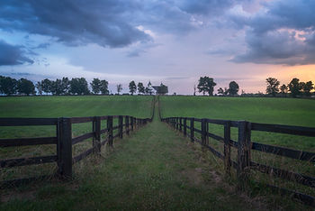 Kentucky Farm
