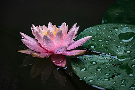 Image by xiaoyu xie
