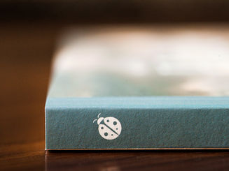 The Indie Author's Secret Weapon: Why You Shouldn't Rely on Amazon Alone