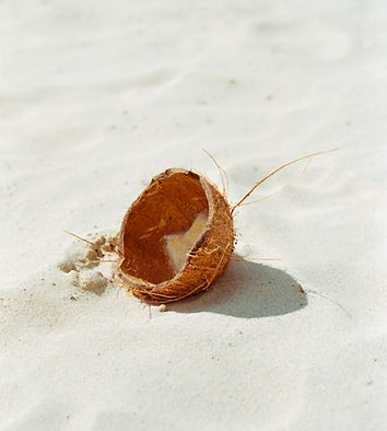 Image by Raymond Petrik