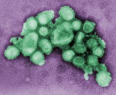 Image de CDC