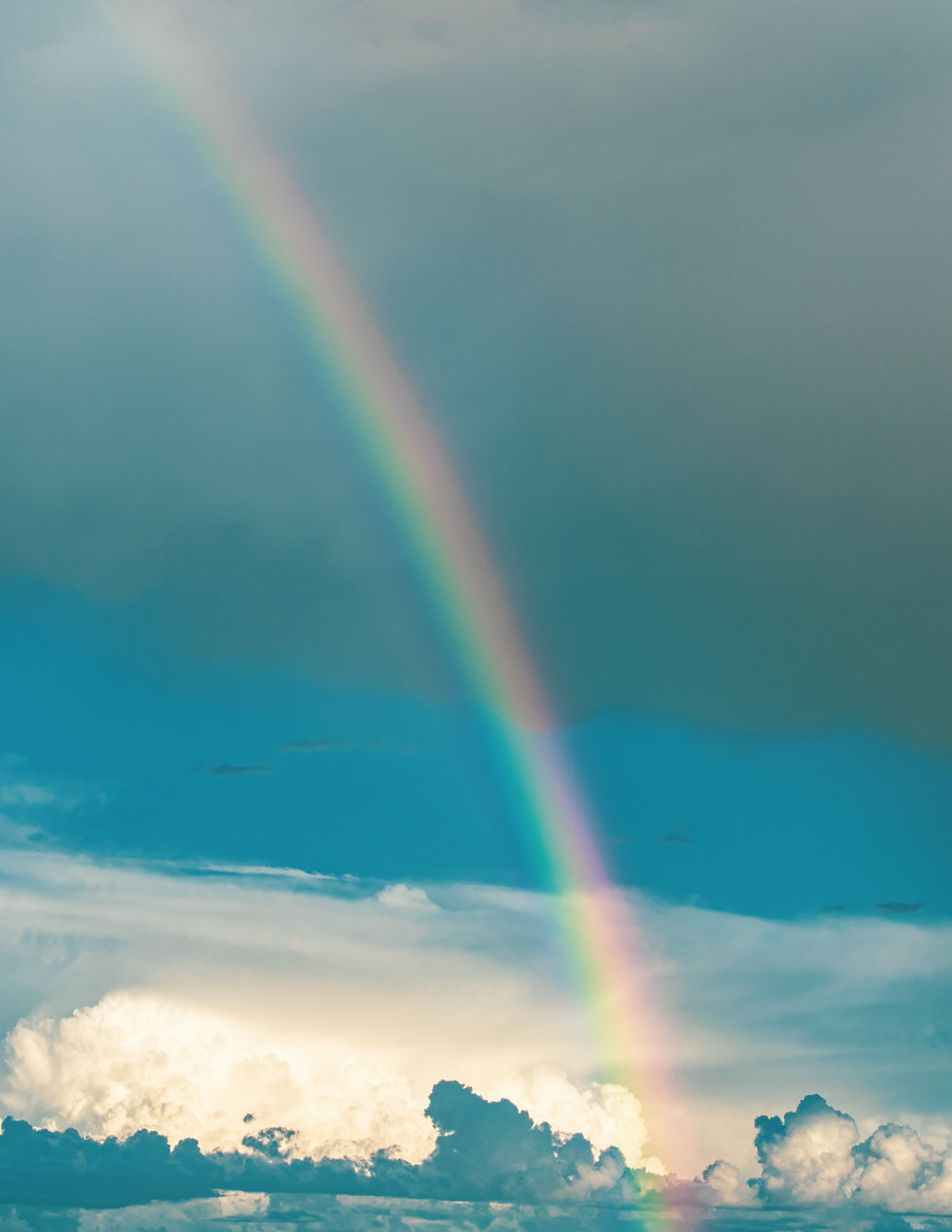 Image by Mateus Campos Felipe