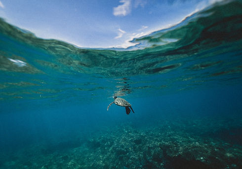 Image by Jakob Owens