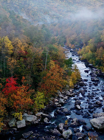 Image by Mitchell Kmetz