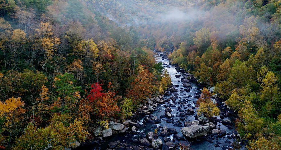 Image by Mitchell Kmetz