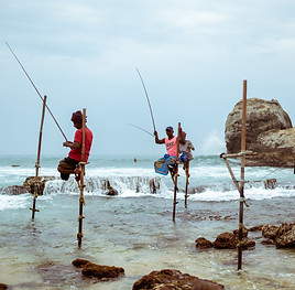 Image by Arseny Togulev