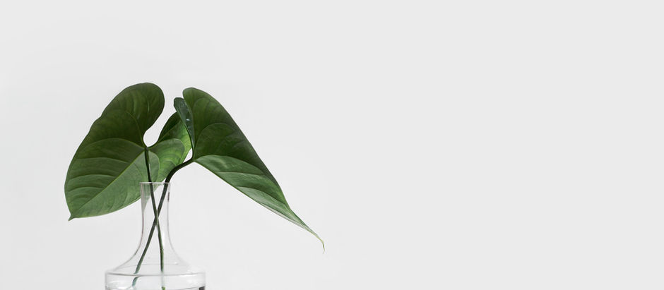 "The hygiene we need during this time goes far beyond washing our hands regularly..."