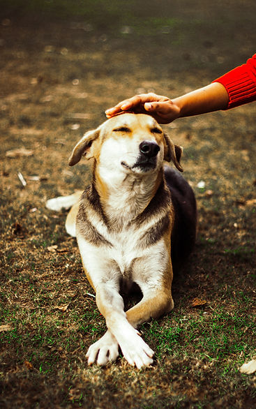 Image de Prashant Gupta