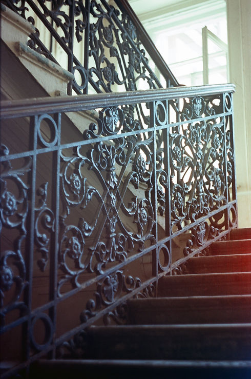 Image by Daria Kraplak