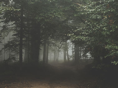Image by Arturrro