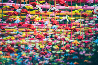 Image by Nikunj Gupta