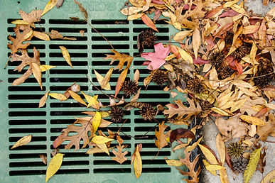A close-up of a yard drain covered by autumn leaves