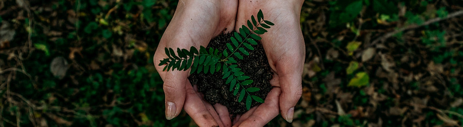 이미지 제공: Noah Buscher