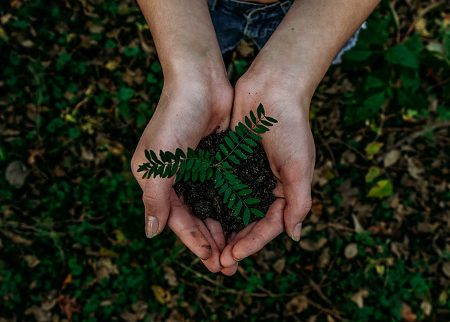 Image by Noah Buscher