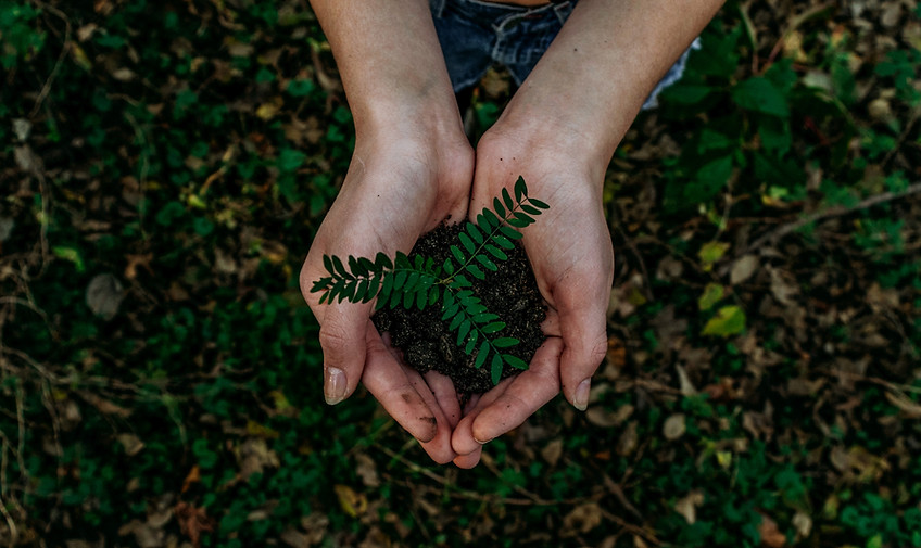 Image by Noah Buscher