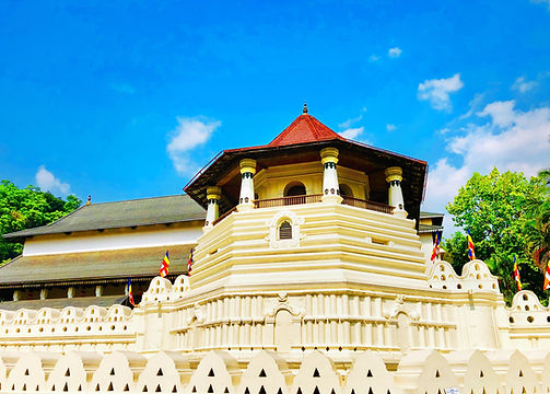 Image by Supun Batagoda