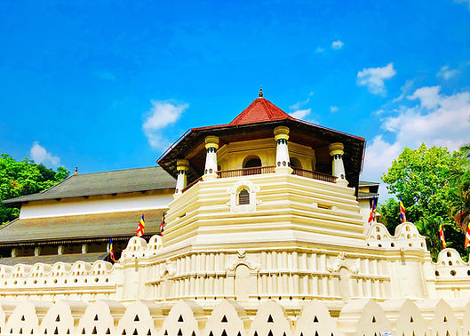Image by Supun Batagoda