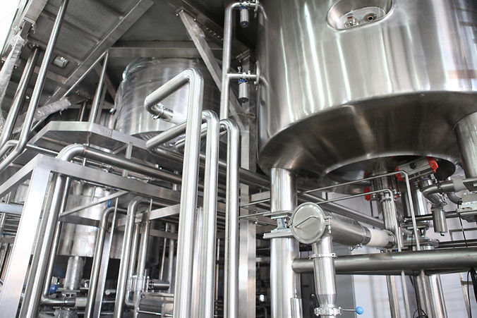 Image by Crystal Kwok