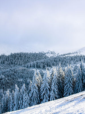 Image by Vlad Fara