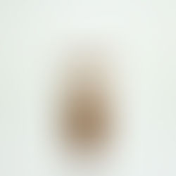 We're Here. And We're Listening.