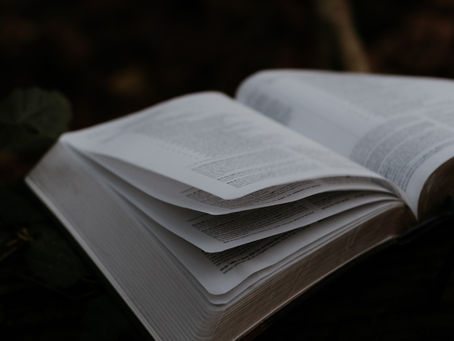 November 2, 2024 -Live Truth