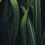 Thumbnail: Thunderstorm