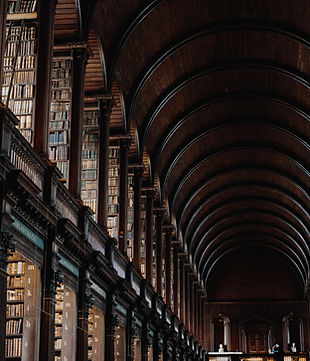 Image by Giammarco Boscaro