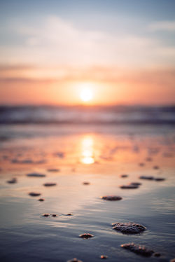 Image by Cole Keister