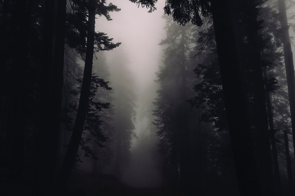 Scorpio zodiac and mystery