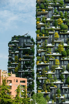 Image by Daniel Seßler