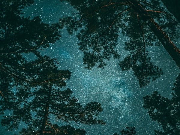 Image by Tyler Domingue