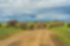motorcycling tour women in Tanzania, motorcycling tour, Tanzania