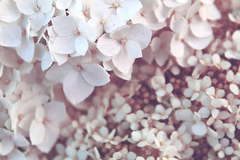 Image by Olesia Misty