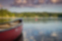 Image de Michael Niessl